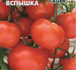 Томат Вспышка