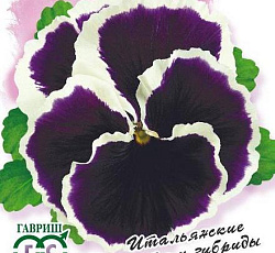 Виола Флоренция F1