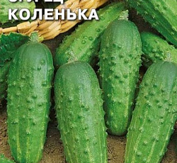 Огурец Коленька