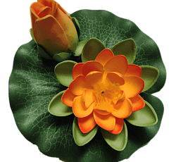 Лилия водоплавающая двойная Оранжевая d-14см