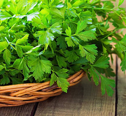 Петрушка листовая Нежный аромат