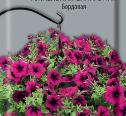 Петуния ампельная Симфония Бордовая