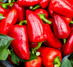 Перец сладкий Ультраранний букетный