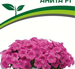 Петуния Итальянка Анита F1 многоцветковая каскадная