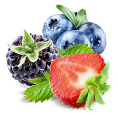 Семена ягод