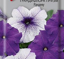 Петуния Грандифлора Призм Рандеву