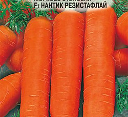 Морковь Нантик Резистафлай F1