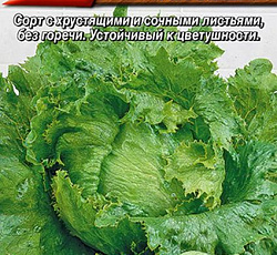 Салат Хрустящий айсберг (кочанный)