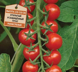 Томат Дюймовочка (черри)