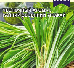 Черемша Алтайская