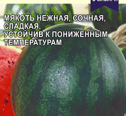 Арбуз Ультраранний