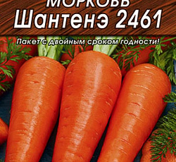 Морковь Шантенэ 2461