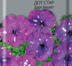 Петуния мультифлора Дот Стар Дарк Виолет