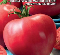 Томат Сердце буйвола