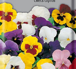 Анютины глазки Смесь сортов