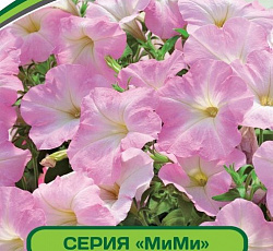 Петуния МиМи Аврора F1 многоцветковая каскадная