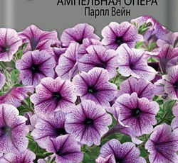 Петуния ампельная Опера Парпл Вейн