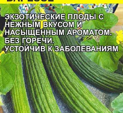 Тортарелло Бареззе (Армянский огурец)