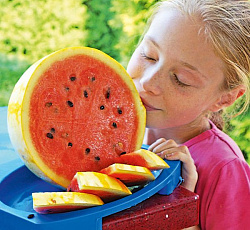 Арбуз Желтое чудо F1