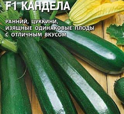 Кабачок Кандела F1 (цуккини)