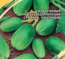 Огурец Чупа-щупс F1