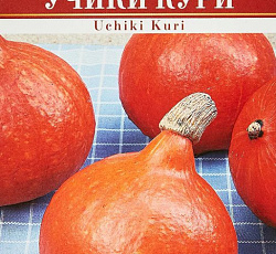 Тыква крупноплодная Учики Кури