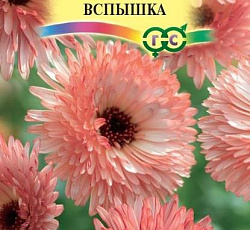 Календула Розовая вспышка