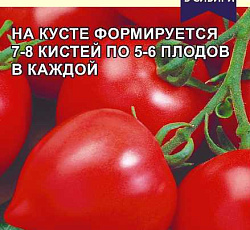 Томат Примадонна F1