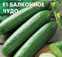 Огурец Балконное чудо F1
