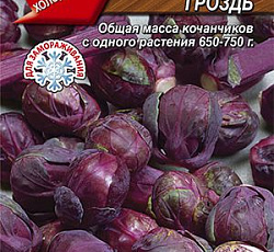 Капуста брюссельская Виноградная гроздь