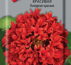 Гайлардия красивая Лоллипап красная