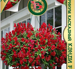 Антирринум каскадный Кэнди Ред F1