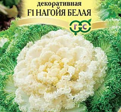 Капуста Декоративная Нагойя белая