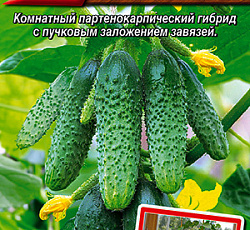 Огурец Окошко F1