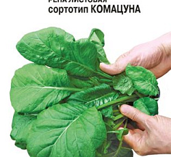 Репа листовая Комацуна зеленая