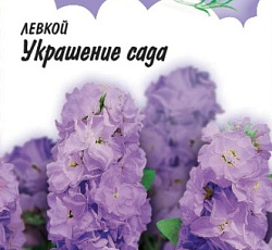 Левкой Украшение сада