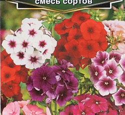 Флокс друммонда Арт Шейдс, смесь сортов