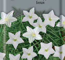 Ипомея (квакомклит) Созвездие Белая