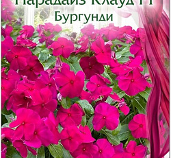 Катарантус Парадайз Клауд Бургунди F1