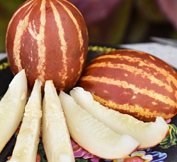 Дыня Ходжа Насреддин