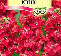 Левкой Квик