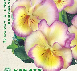 Виола Виттрока Великолепие лиловое F1