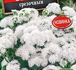 Агератум мексиканский Белый срезочный