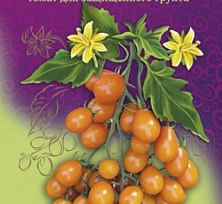 Томат черри Савва F1