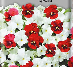 Фиалка рогатая Куколка