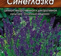 Лаванда Синеглазка