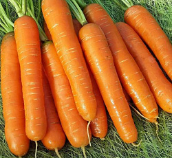 Морковь Нантская 4