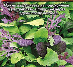 Бэби салат Восточная смесь