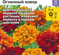 Бархатцы отклоненные Френч Дварф Огненный ковер