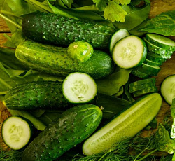 Огурец Престиж F1